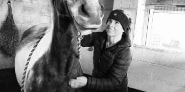 equisport-therapy-for-your-horse