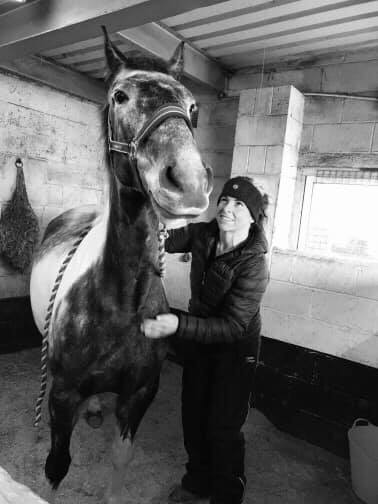 equisport-therapy-for-your-horse